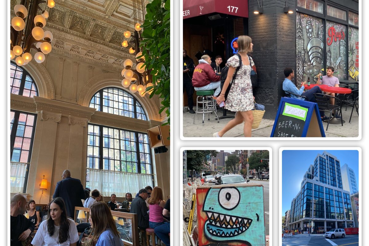 Downtown NYC has Never Been as VIBRANT. So Many New Hotels, Restaurants, Clubs, Galleries, Stores!